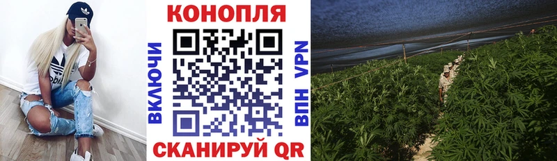 Бошки Шишки OG Kush Еманжелинск